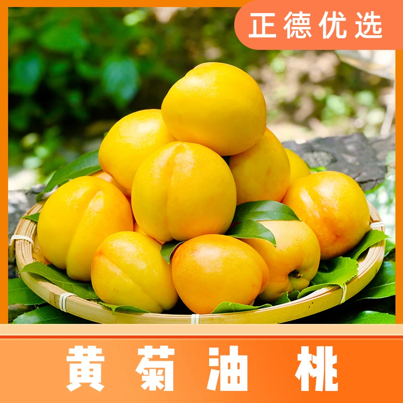 【黄菊油桃】山东蒙阴黄菊黄油桃新鲜多汁现摘现发 4.5斤装 S