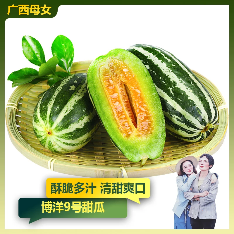 【博洋甜瓜】新鲜博洋9号香瓜甜瓜当季应季水果农产品4.5斤 G