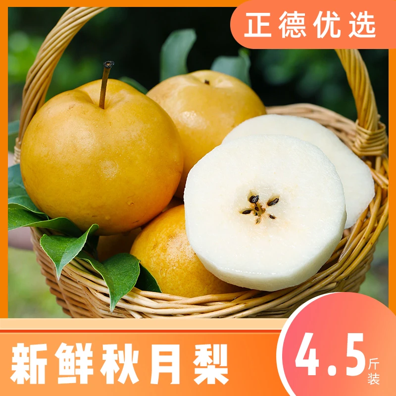 【秋月梨】山东当季新鲜梨子汁多肉厚 4.5斤装G