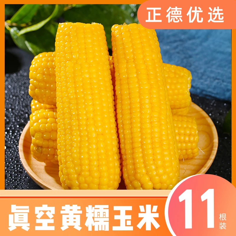 【黄糯玉米】颗粒饱满真空包装甜糯玉米11根180g/根 Q