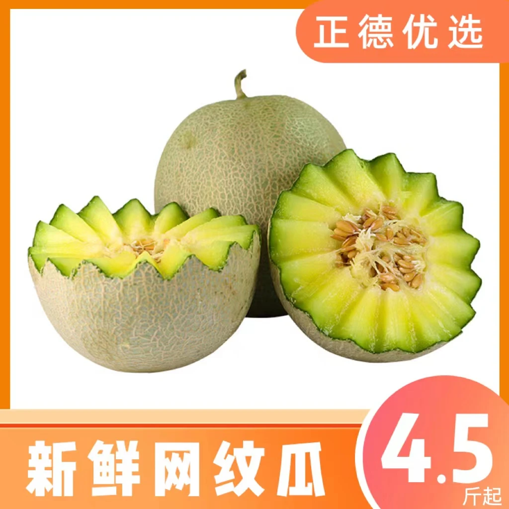 【海南网纹瓜】新鲜水果甜瓜冰淇淋蜜瓜香甜多汁4.5-5/8-9斤装C
