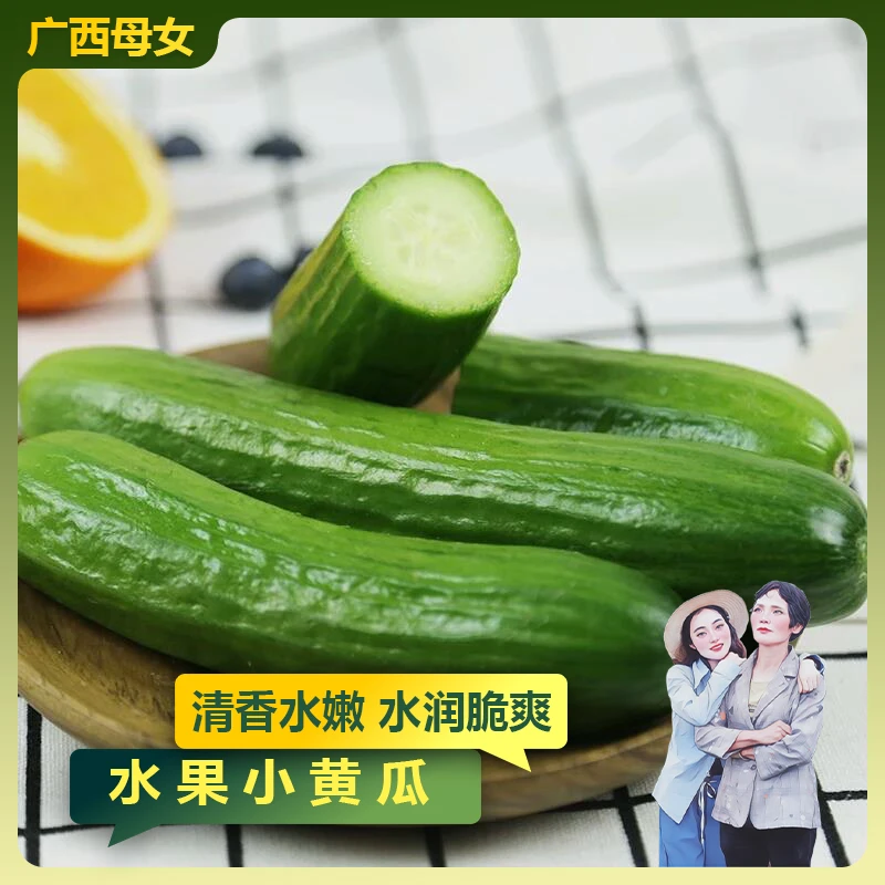 【水果黄瓜】新鲜现摘水果小黄瓜无刺黄瓜农产品2.5斤 坏果包赔 G