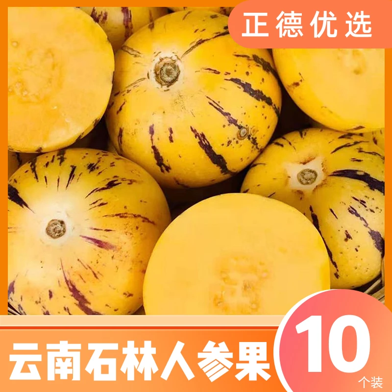 【人参果】云南石林人参果爽口多汁新鲜采摘 小果10个装50-70g X