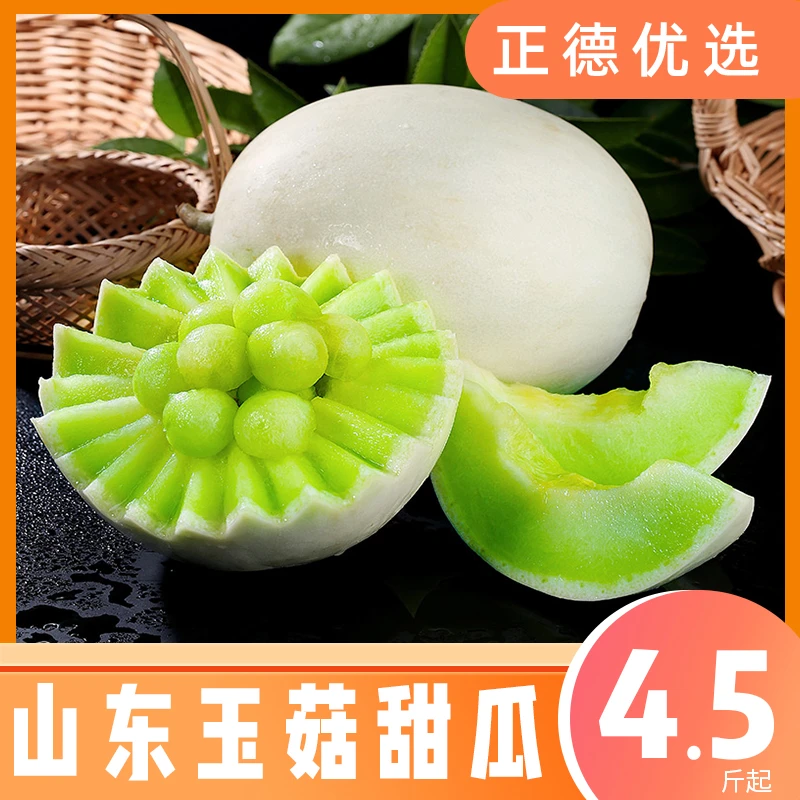 【玉菇甜瓜】山东新鲜冰淇淋甜瓜4.5-5斤装S