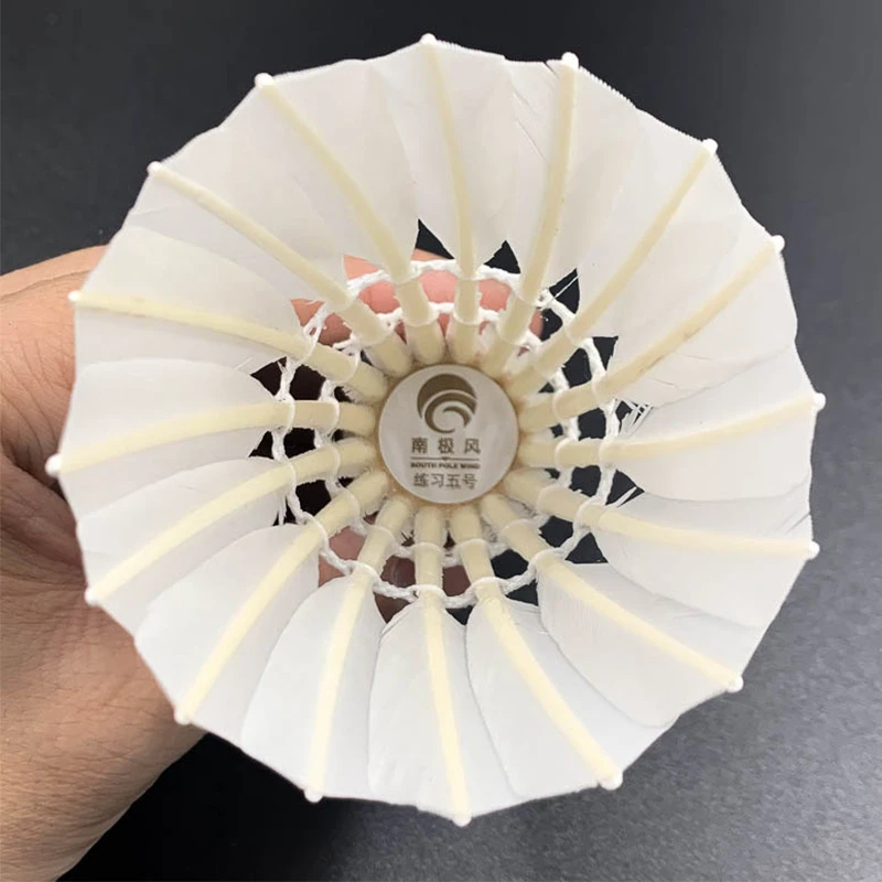 南极风12只装超轻训练球6只装3只装耐打台纤球头专业便携式羽毛球