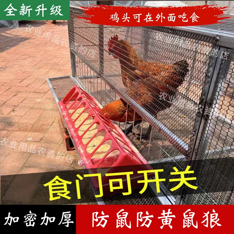 多种鸭笼鸽笼防蛇鼠防黄鼠狼笼家用室外笼捡蛋笼加大加宽养殖笼子