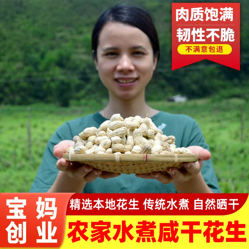 水煮花生农家带壳新鲜湿煮盐水原味白晒咸干散装白玉花生河源特产