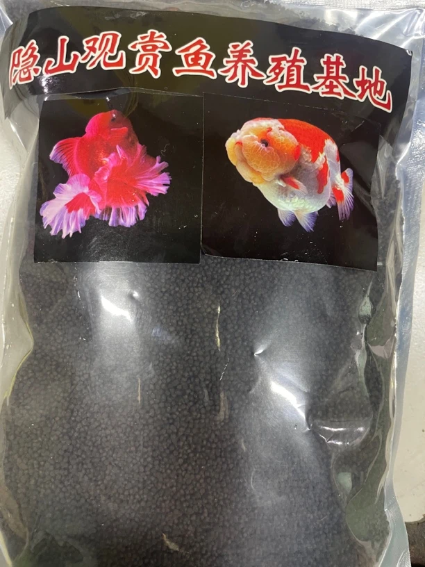 观赏鱼兰寿直播间