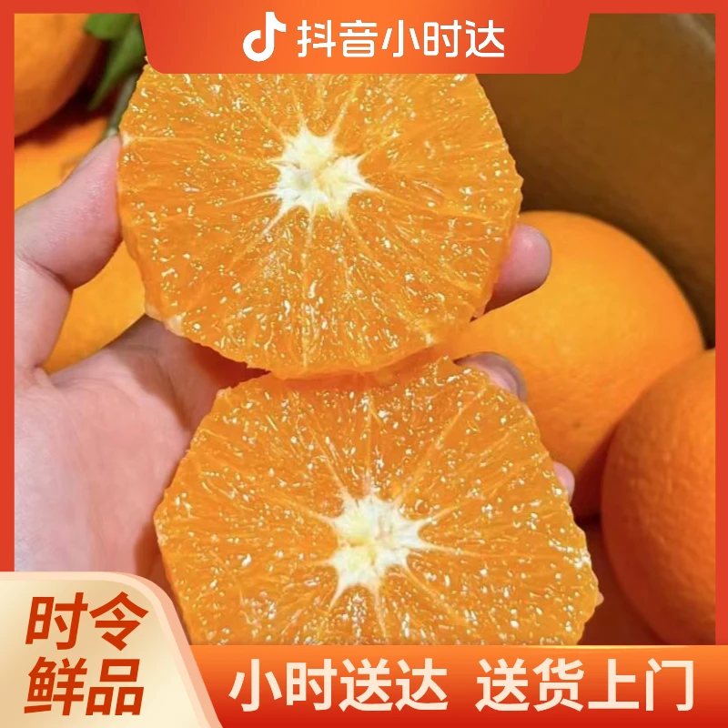 【泸定果品】爱媛果冻橙80mm约1斤