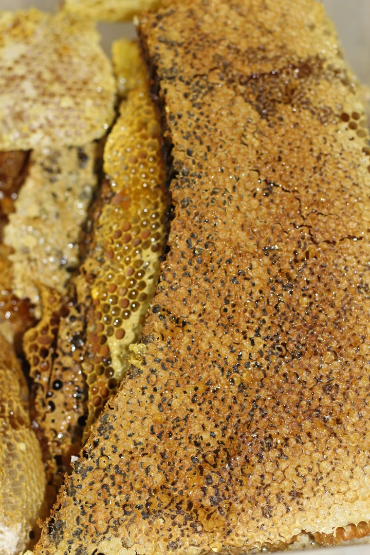 1号露萱家的高山山货特产“野蜂巢蜜”和蔬菜等散装称重500g顺丰