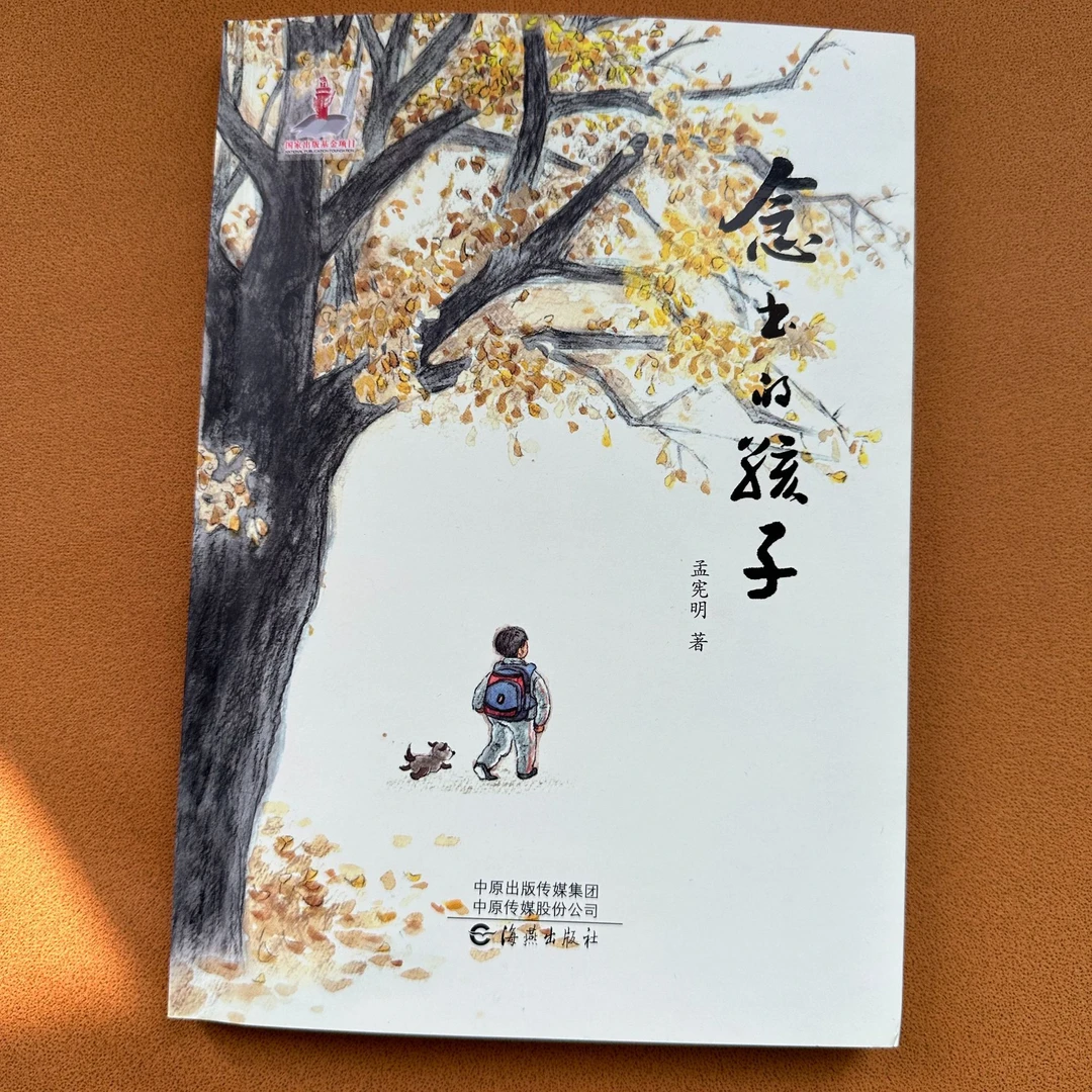 海燕出版社感人至深留守儿童的故事念书的孩子儿童文学课外阅读
