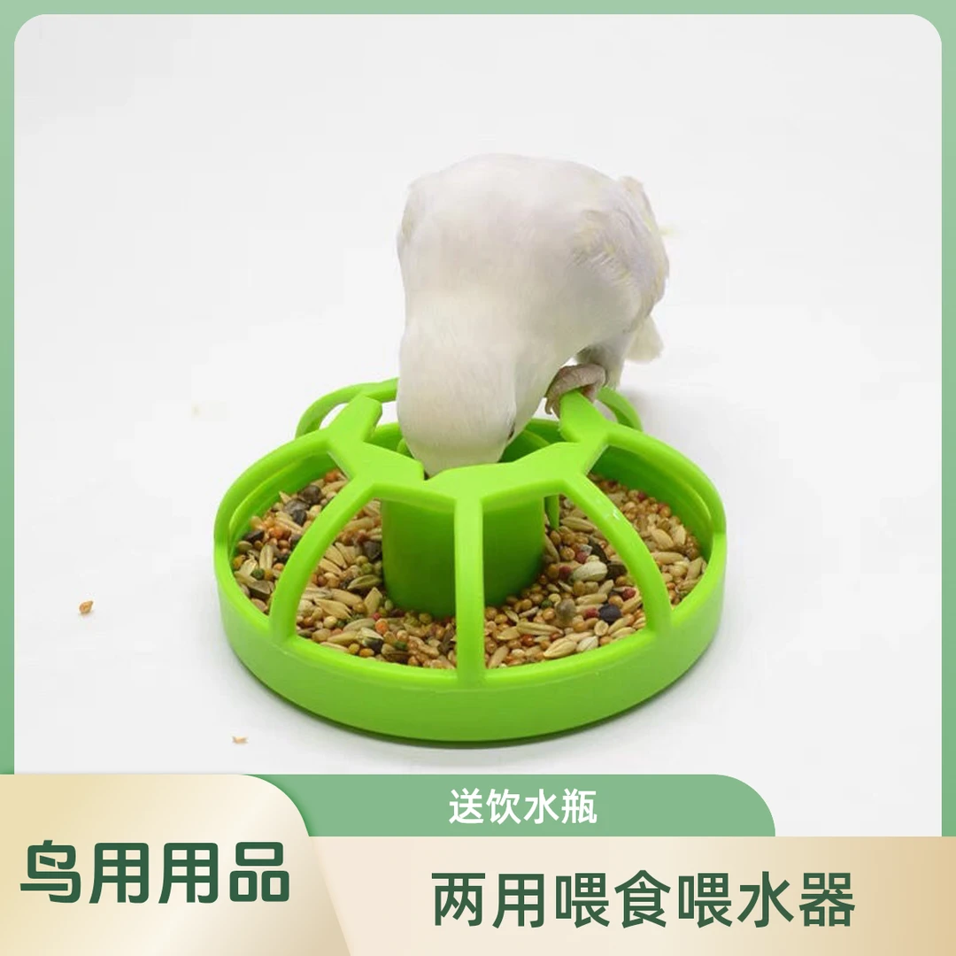 鹦鹉食盒幼鸟学吃饮水器防撒耐用小型雏鸟宠物用具外出鹦鹉食盒