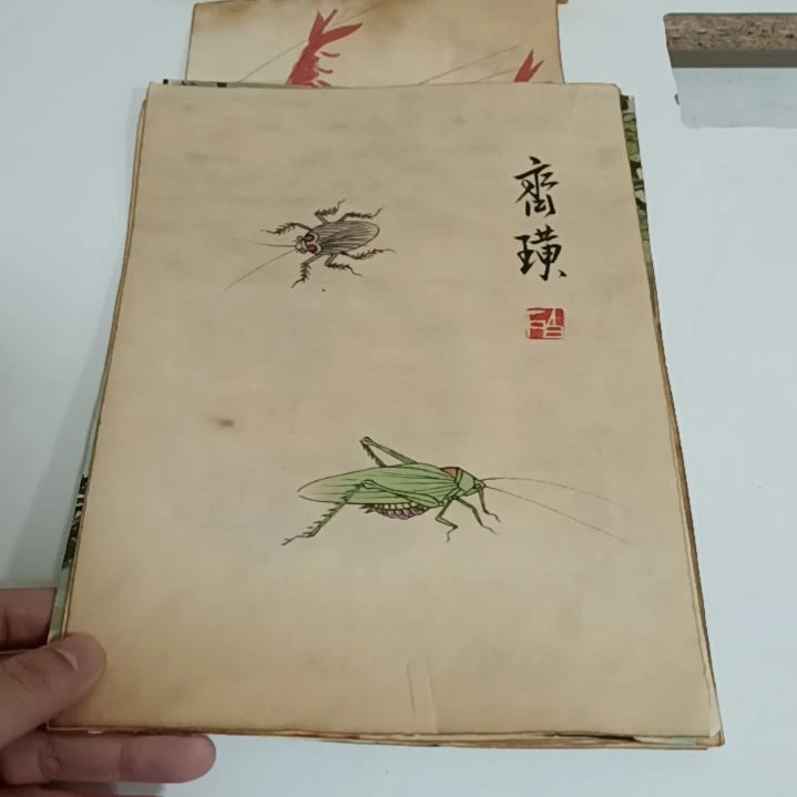 【闪购商品】绘画江*
