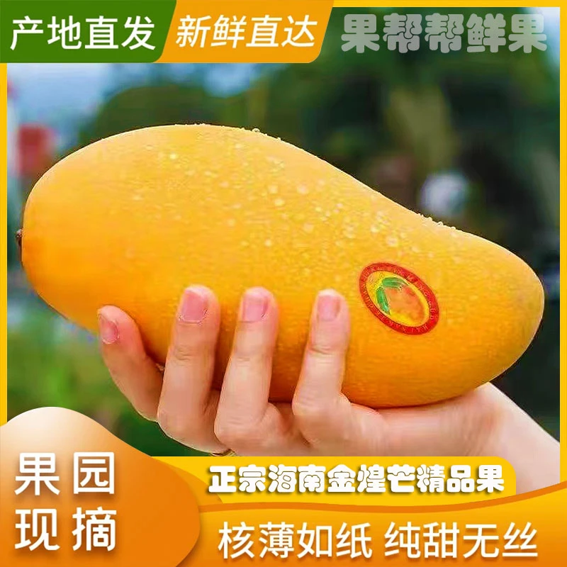 海南三亚金煌芒果5/8斤礼盒皮薄肉厚香甜多汁肉质细腻饱满鲜嫩