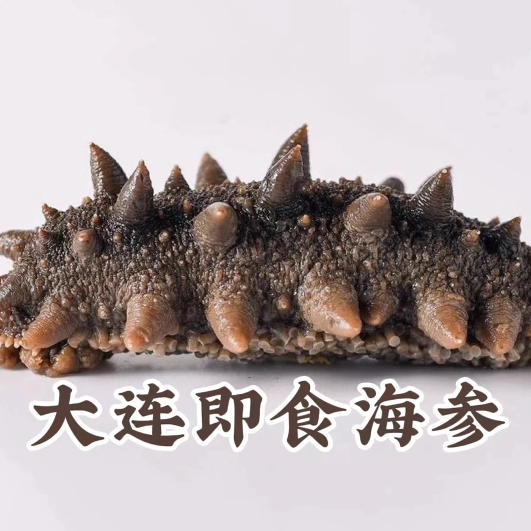 【4-6头大海参】【大连即食海参】【已开价】开袋即食