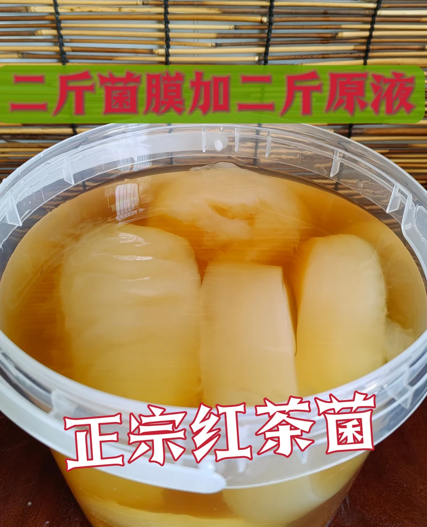 福利正宗红茶菌也叫胃宝