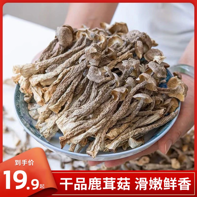 【爆款干货】农家鹿茸菇鲜香脆嫩  炖汤炒菜美味好吃80g/袋