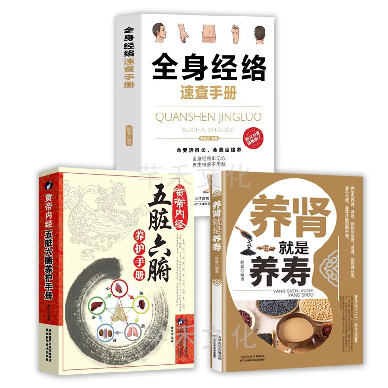 养好肾就是养寿+黄帝内经五脏六腑调理+全身经络 中医养生的书籍