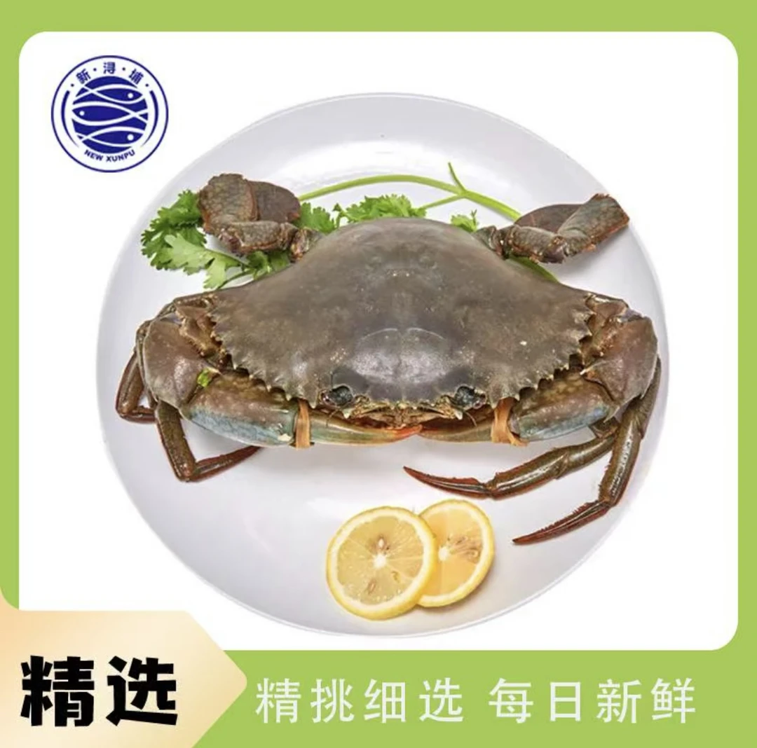 【活蟹打包】野生红鲟/红膏蟹1只/400-450g