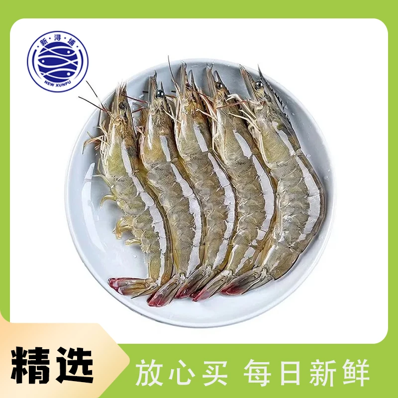 鲜活白虾明虾对虾250g【打氧配送】（10-15只）