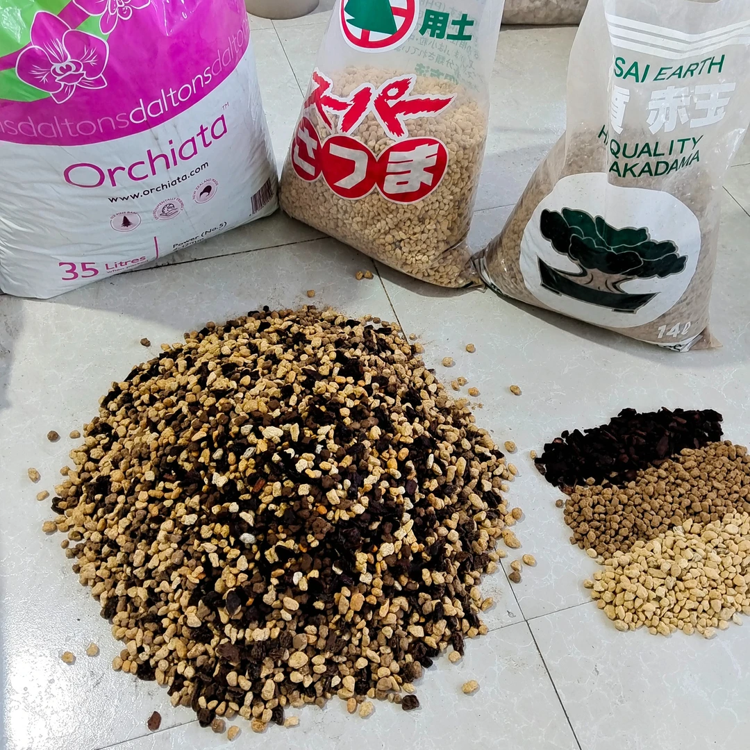 541比例硬植兰花配方土植金石赤玉土新西兰树皮三合一全颗粒10升