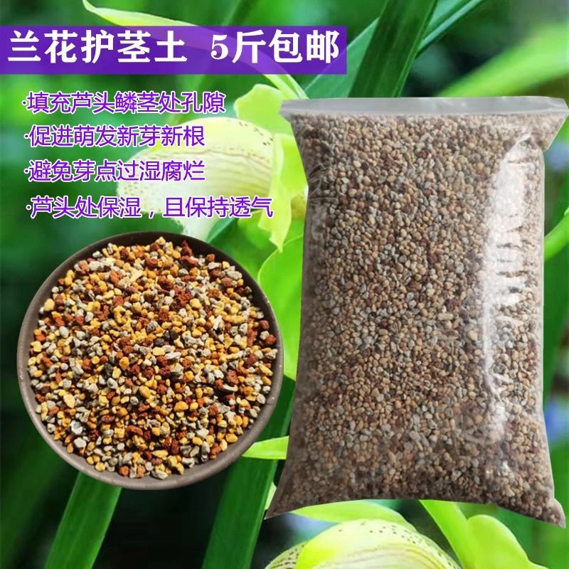 兰花护茎土兰草填充芦头鳞茎保护新芽护心土3-6mm铺盖盆面颗粒石