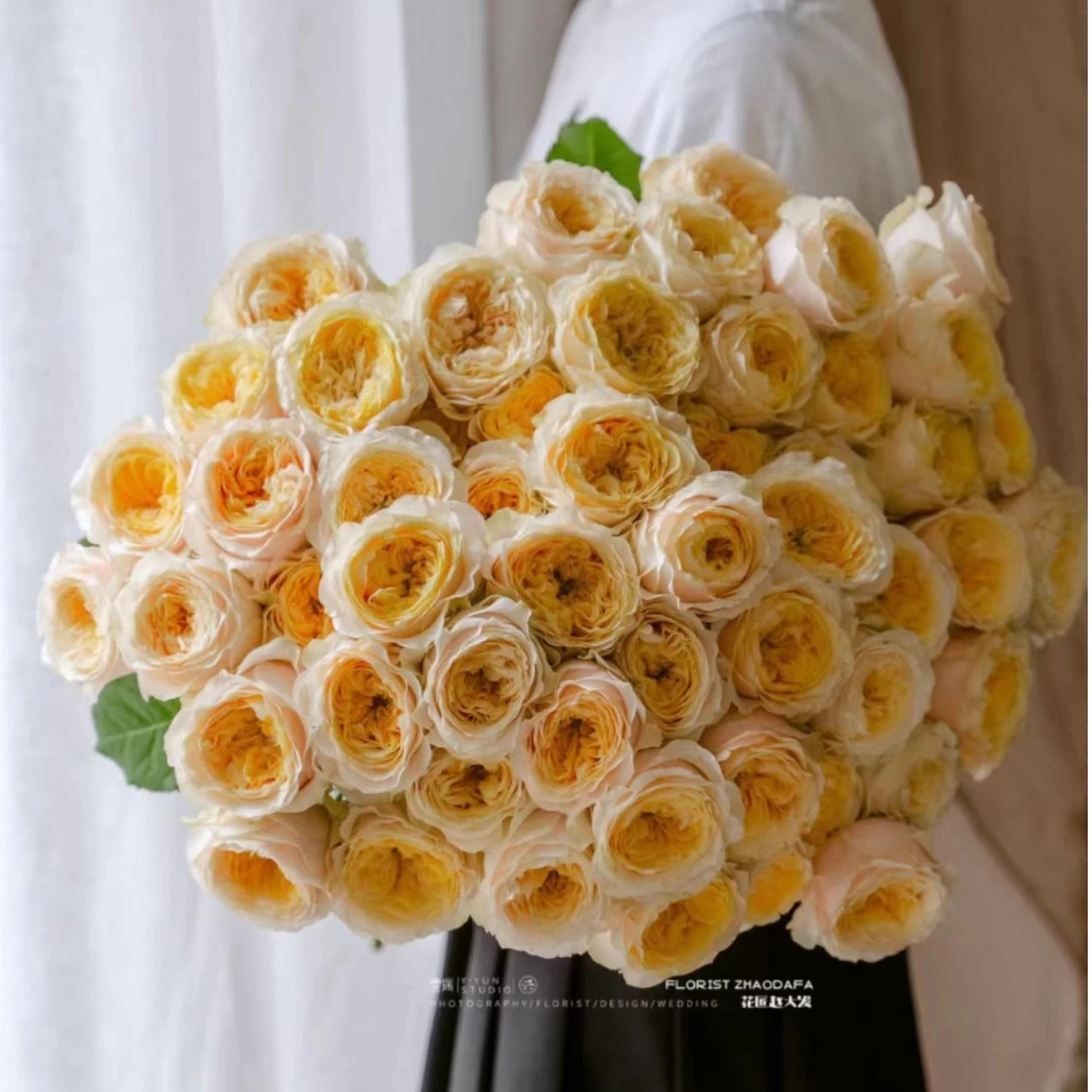 特蕾莎玫瑰10支（家庭瓶插花）