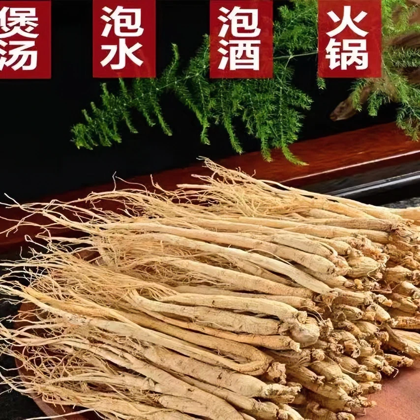 【长白山人参】生晒参 泡水煲汤泡酒整支滋补食用 单支五克左右