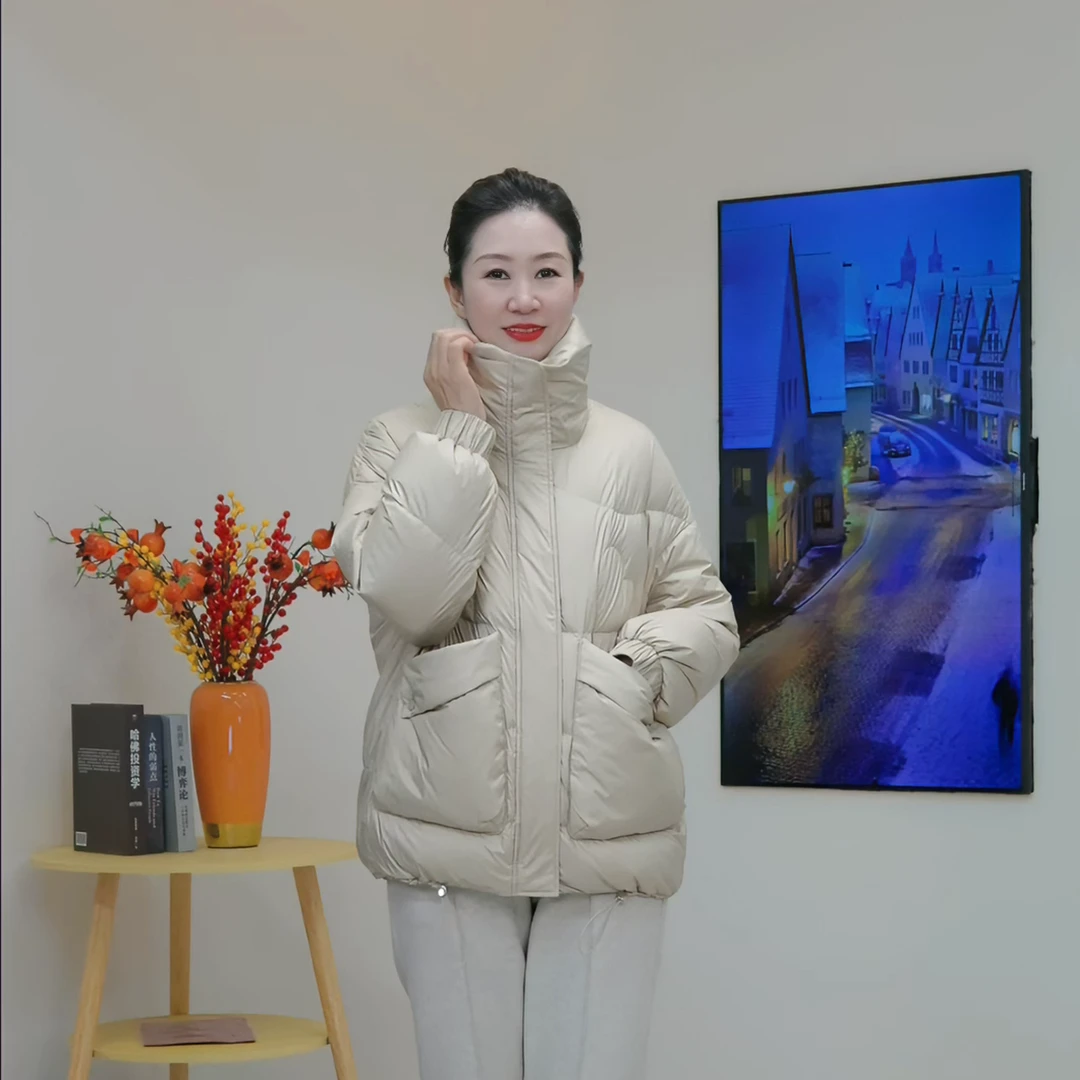 女士女款25-35岁立领韩版洋气宽松潮流纯色柔软羽绒服短款