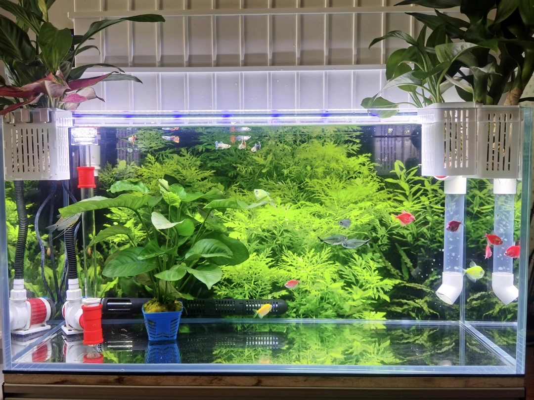 养宠装备80鱼缸用滴流盒上滤静音增氧循环净水周转箱溪流缸过滤盒