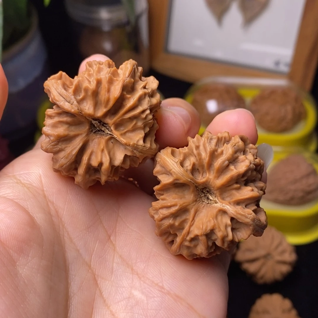 文玩核桃把件36曹大龙