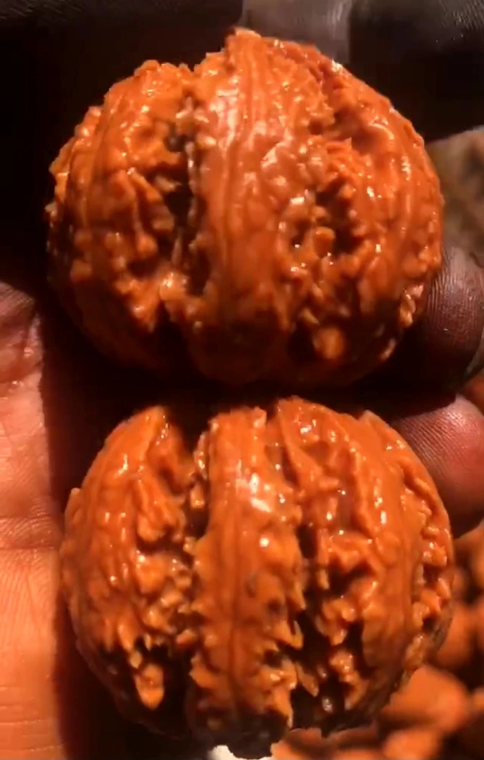 秦岭野生文玩核桃