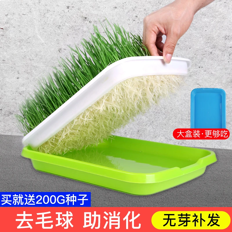 猫草水培猫草种子种植套装猫咪化毛膏去毛球猫草种籽猫零食猫薄荷