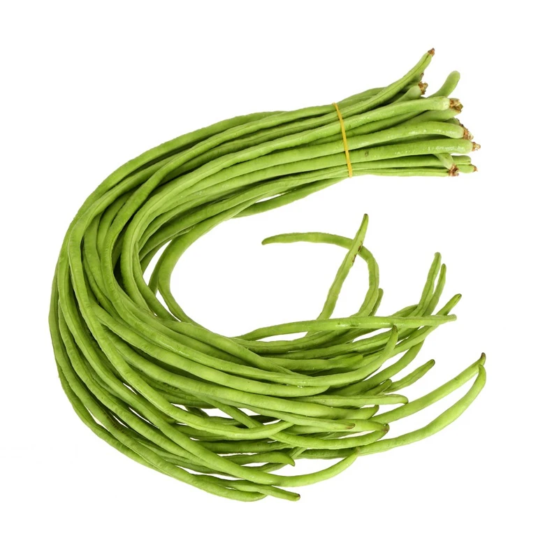 长豆角豇豆种籽 四季豆阳台庭院秋冬季播种植农家菜园地蔬菜种子