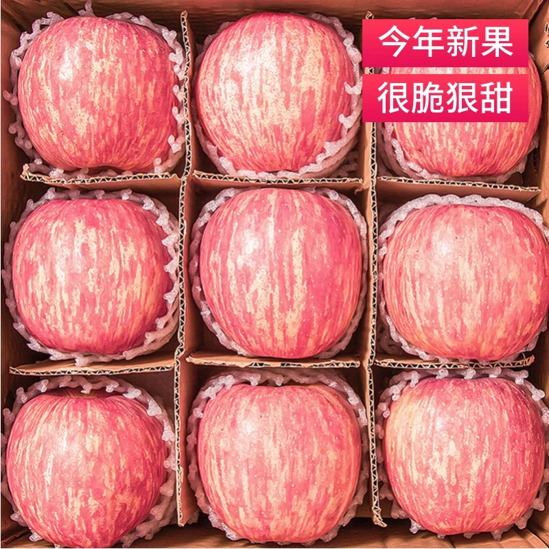 陕西洛川苹果水果新鲜当季整箱红富士冰糖心脆甜2/5/10斤现摘现发