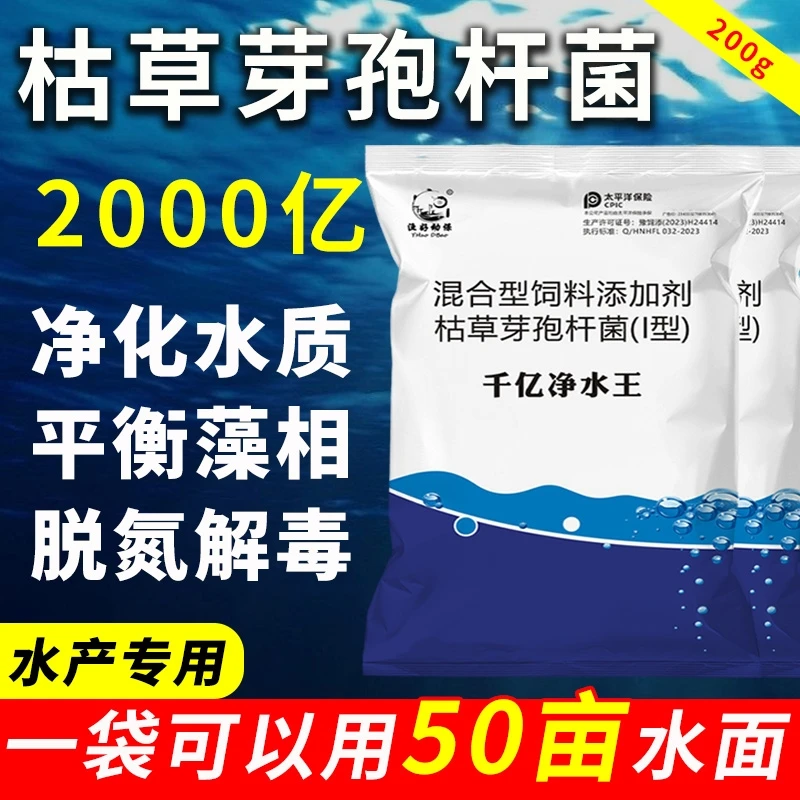 降氨氮亚盐水浓水绿蓝藻2000亿枯草芽孢杆菌原粉水产养殖调水净水
