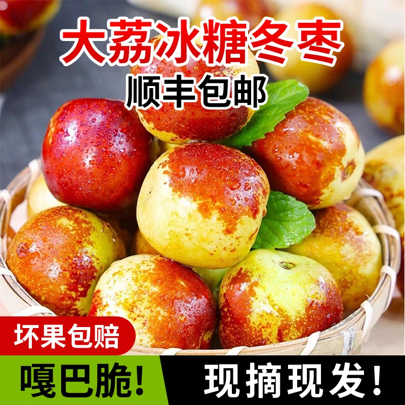 【果王大荔冬枣】优质陕西大荔冬枣脆甜新鲜水果现摘现发顺丰包邮