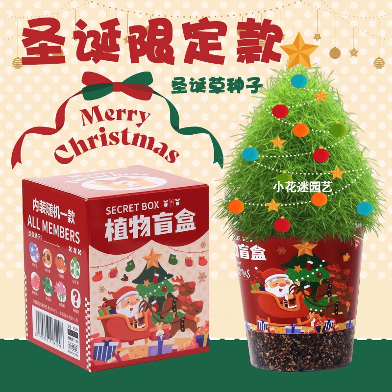 圣诞礼物diy种植创意植物盲盒种子生长迷你盆栽