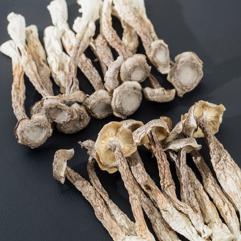 【值！买二送一 多买多送】粤北深山精选鹿茸菇 无硫无添加干货