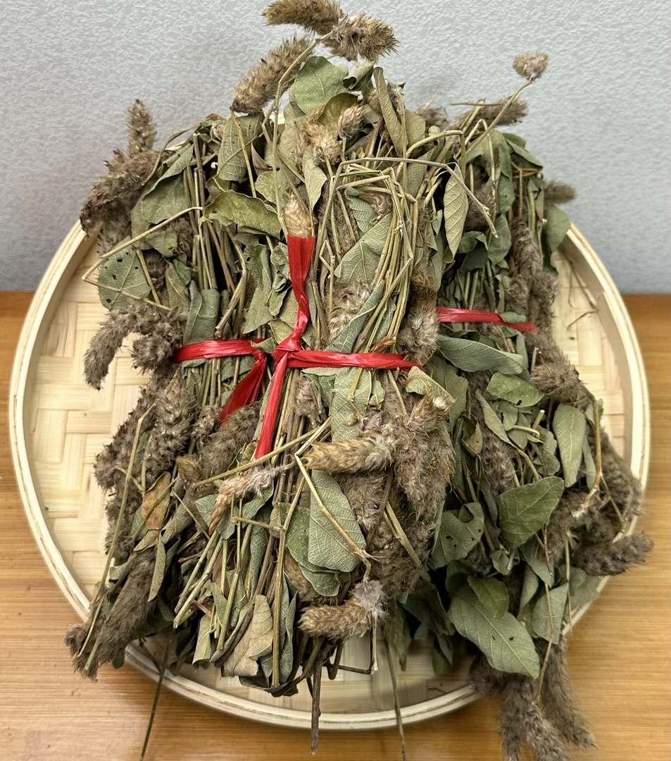 粤北本地农产品 狸尾草 适合煲水煲汤食用 250g起拍