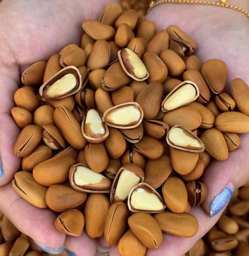 东北正宗大松子开口松子手剥新鲜坚果