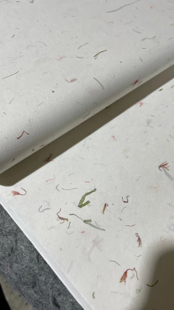 纯手工老宣纸清丝红花宣半生熟