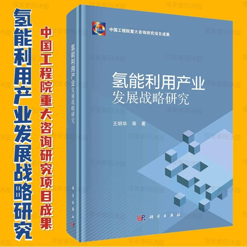 氢能利用产业发展战略研究王明华等著氢能产业国内外发展现状氢能