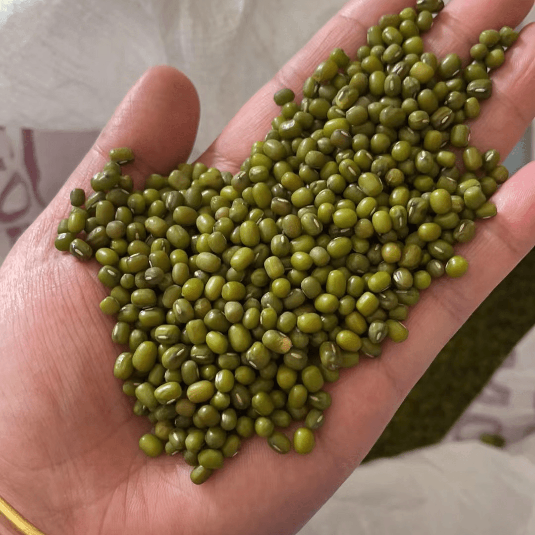 【湘山婷妹子】农家绿豆 一份2斤