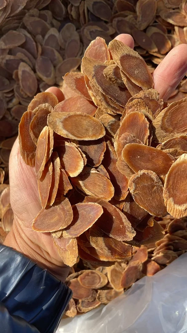 【金子推荐】老皮高丽红参大片  送人优选