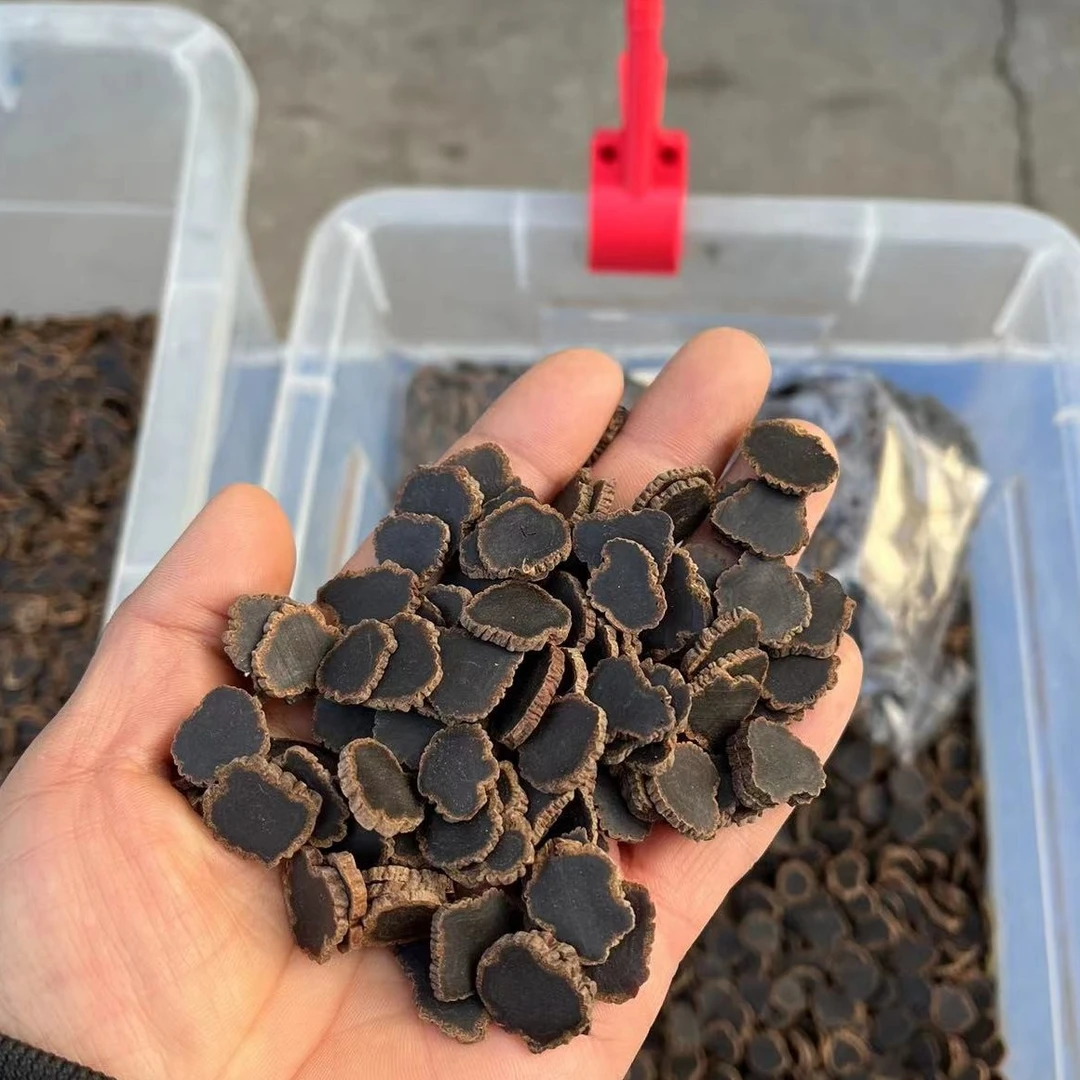 【金子推荐】1.4金边黑参片 精选中间段