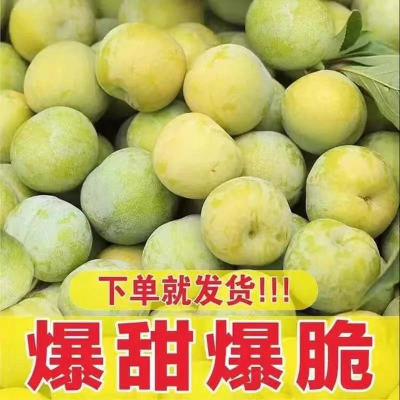 重庆土李子脱骨李新鲜脆李应季甜脆孕妇水果果园直摘发货5斤装