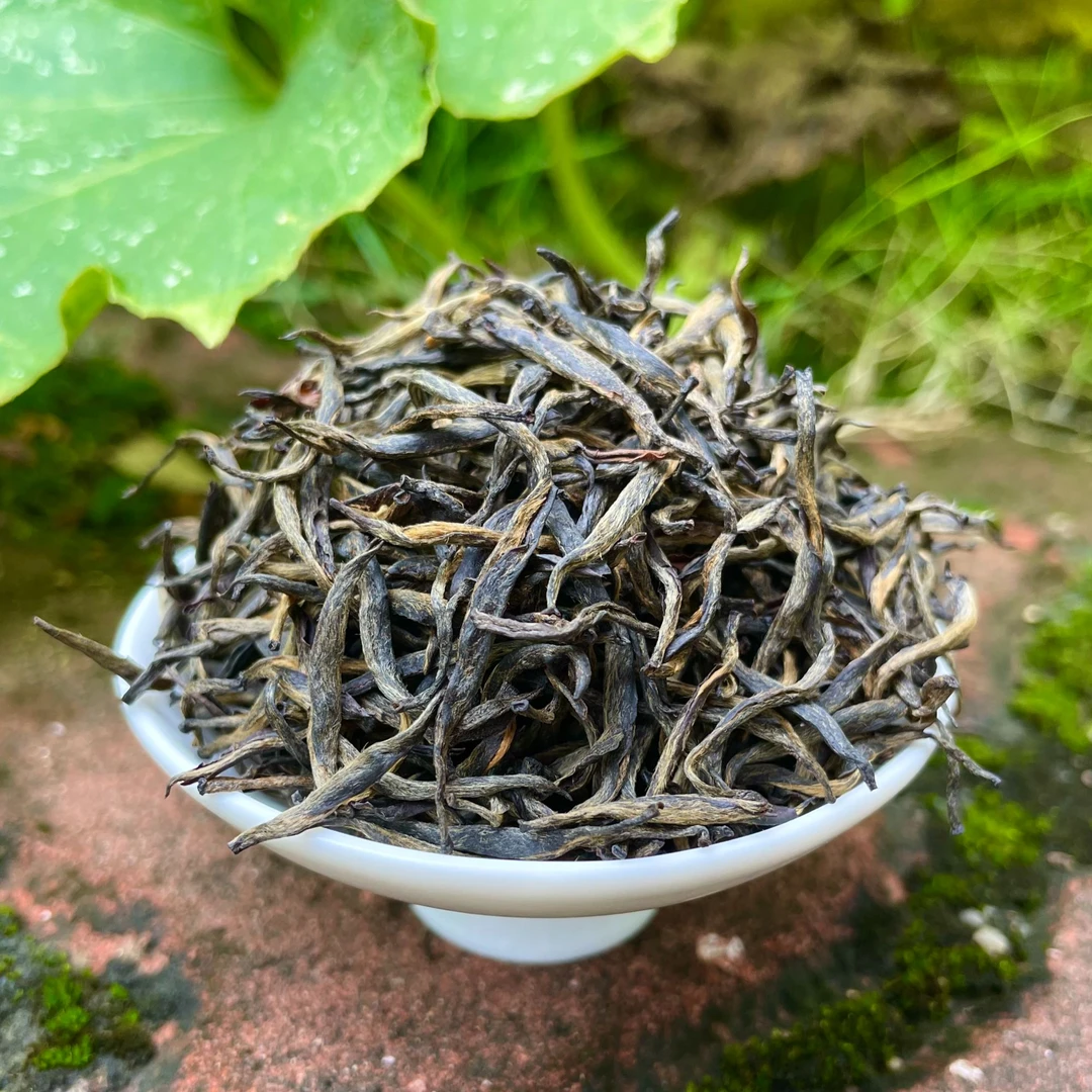 【菜茶茶树】2025头春头采菜茶金骏眉纯芽头采摘传统制作浓香耐泡