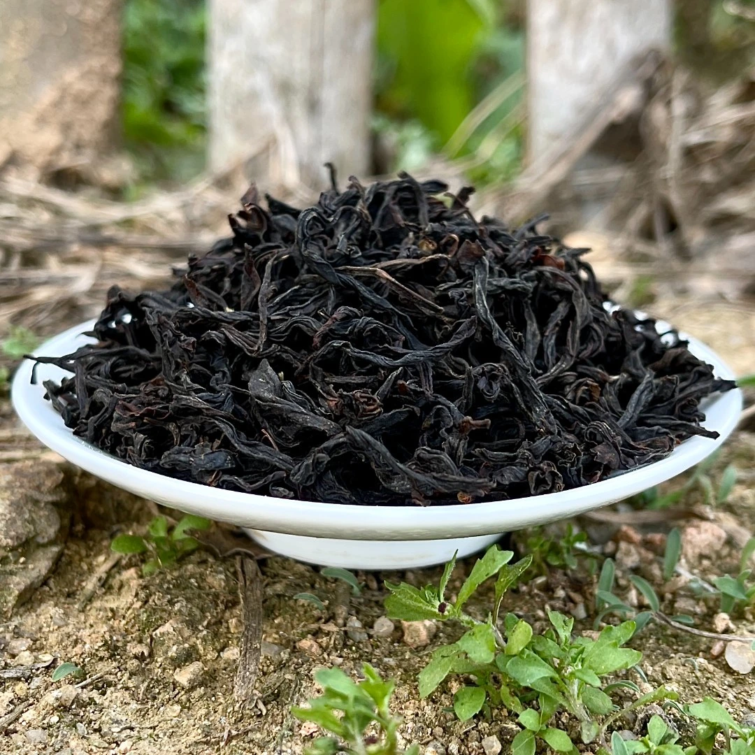 头春头采野茶小种花果香高山生态茶园手工采摘好茶