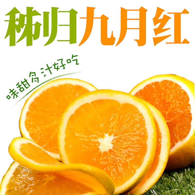 秭归九月红果冻橙4.5-5/8-8.5斤果肉细化渣汁水足爆汁橙子应季果
